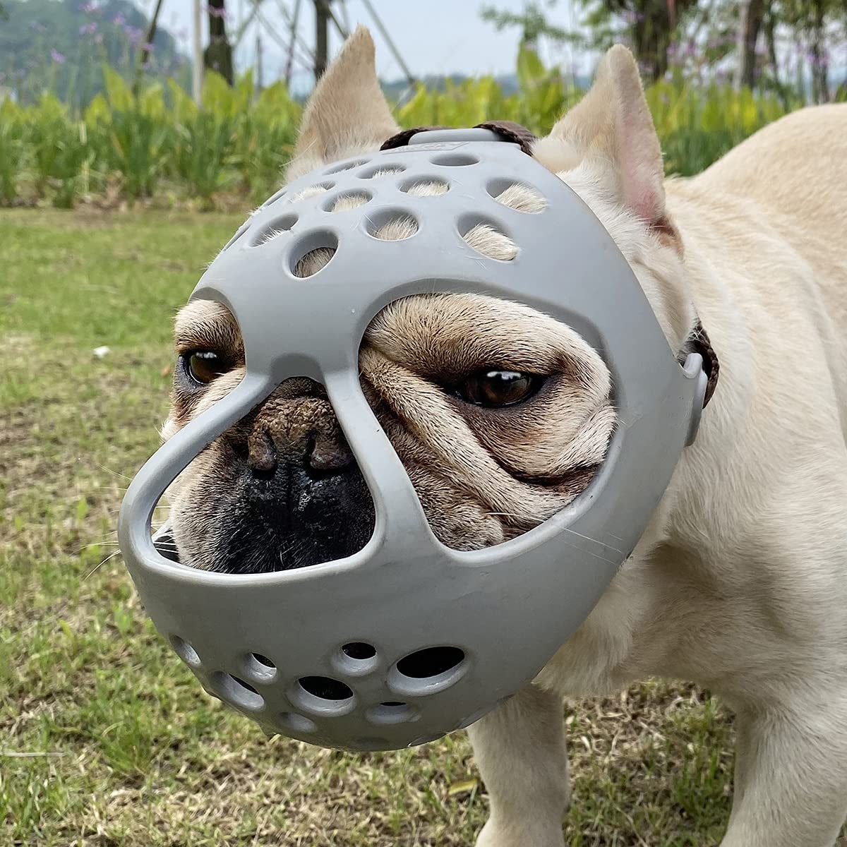 BARKLESS Short Snout Dog Muzzle, Soft Silicone Flat Faced Muzzle for French Bulldog Shih Tzu and Pug for Biting Chewing Licking and Grooming, Allows Panting