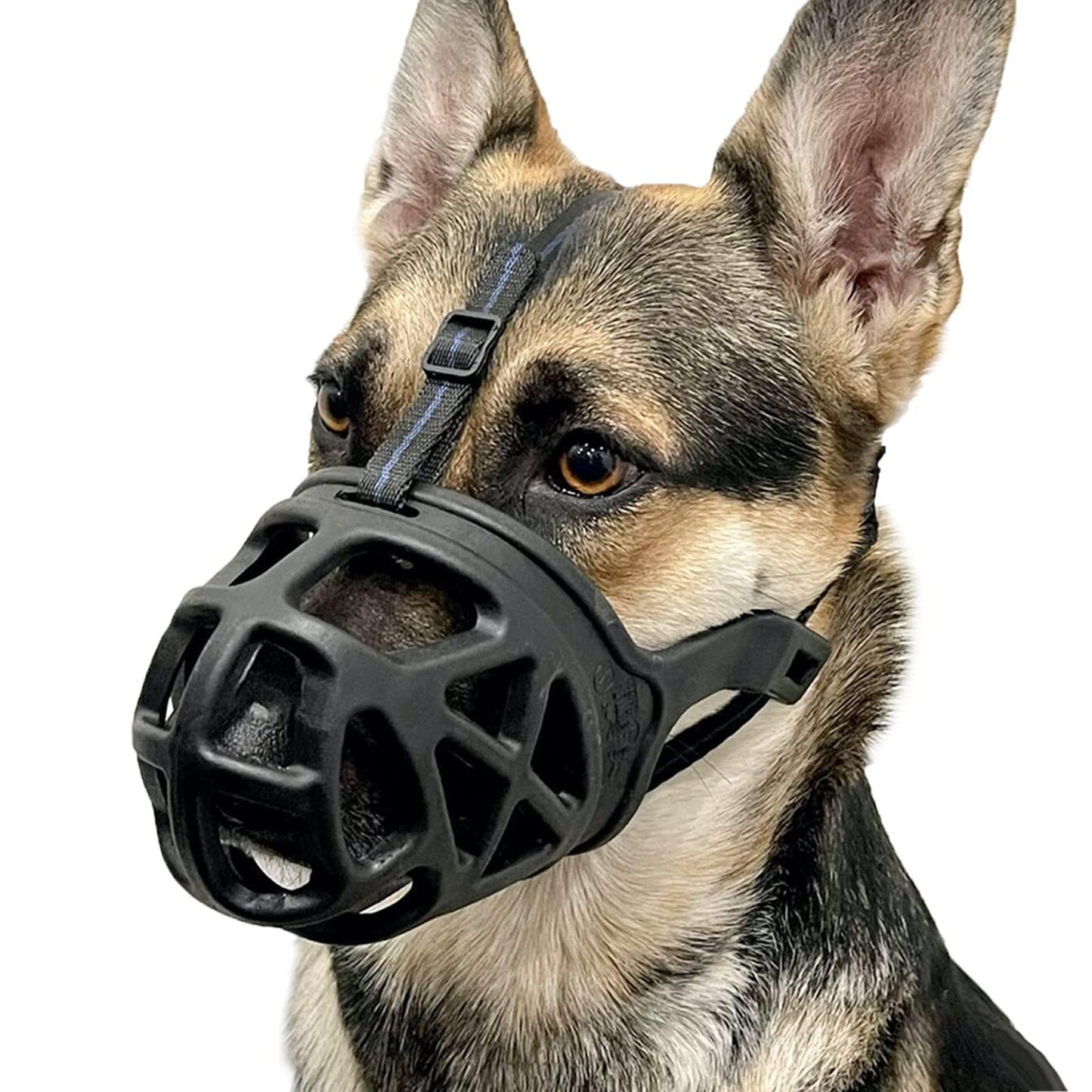 BARKLESS Dog Muzzle, Basket Muzzle for Biting, Chewing and Scavenging, Humane Cage Mouth Cover, Perfect for Grooming and Training Small, Medium, Large Aggressive Reactive Dogs (XS, Black)