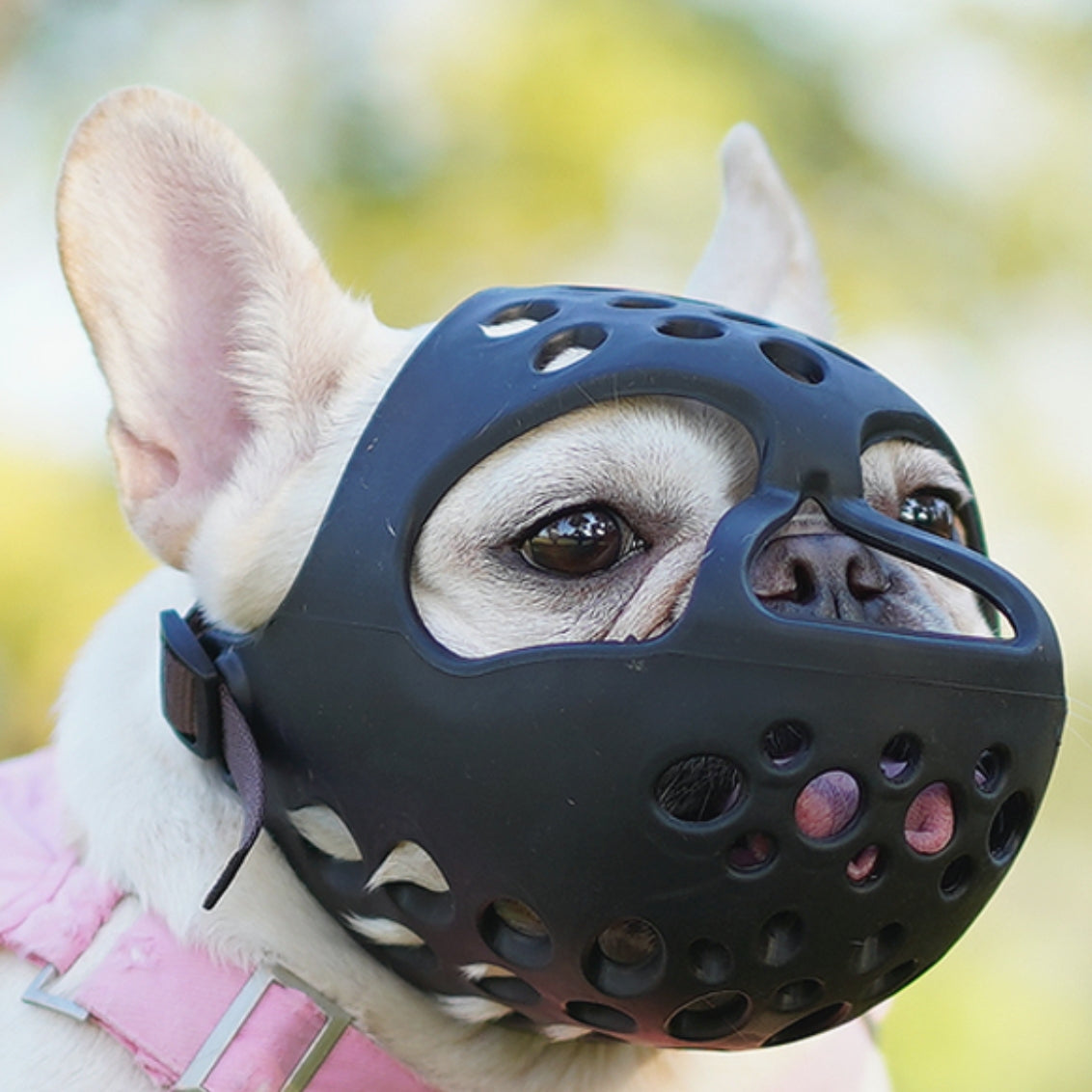 DOG MUZZLES