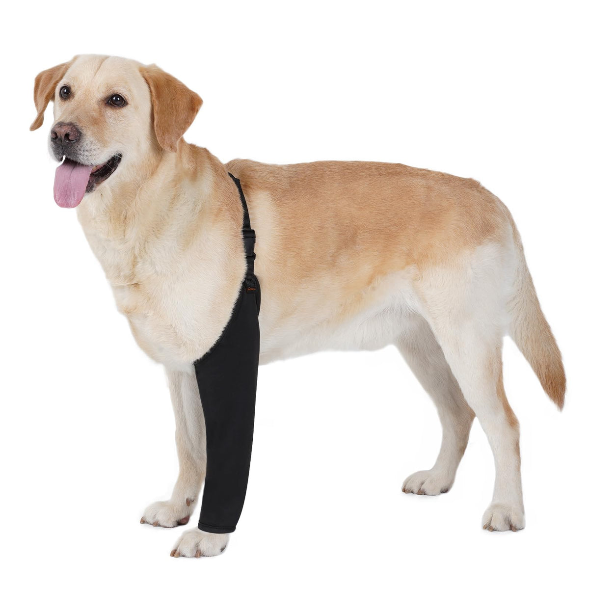 BARKLESS Dog Leg Sleeve for Front Single Leg After Surgery to Stop Licking