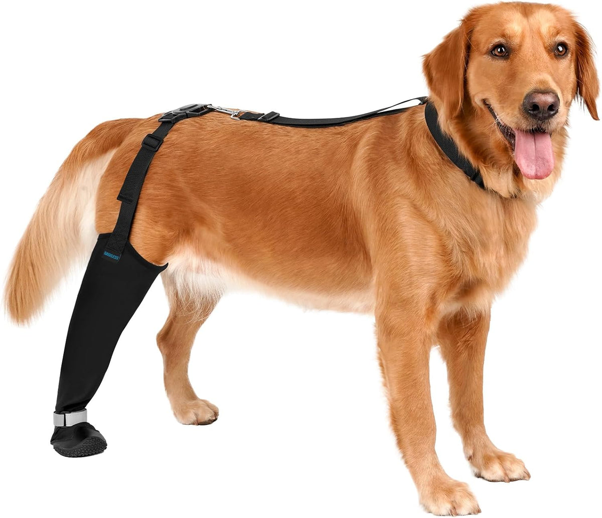 BARKLESS Rear Leg Sleeve with Paw Protector, Dog Bootie to Prevent Licking