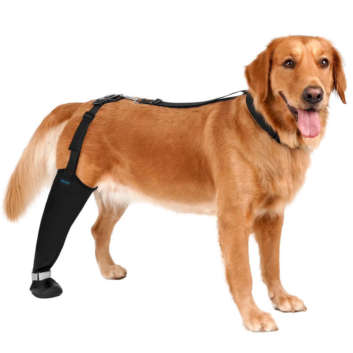 BARKLESS Rear Leg Sleeve with Paw Protector, Dog Bootie to Prevent Licking
