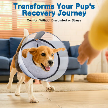 BARKLESS Dog Donut Collar, 2-in-I Inflatable Dog Collars for After Surgery to Stop Licking Wounds, Patented Protective Donut Cone with High Shield for Large Pets (Grey, XL)