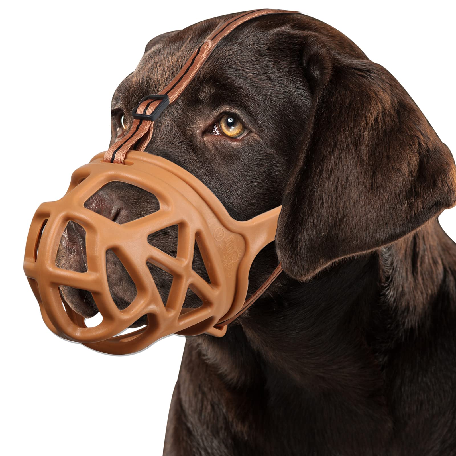 BARKLESS Dog Muzzle, Basket Muzzle for Biting, Chewing and Scavenging, Humane Cage Mouth Cover, Perfect for Grooming and Training Small, Medium, Large