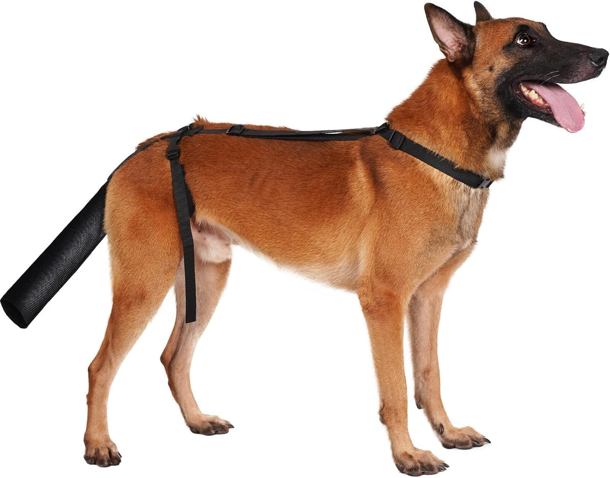 BARKLESS Dog Tail Protector, Dog Tail Wound Cover for Medium Large Dogs